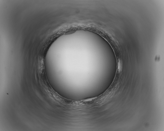 X0000097601492200803071419