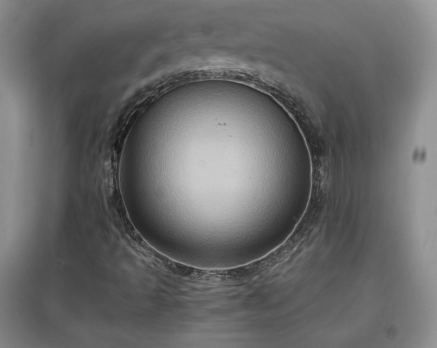 X0000097601493200803071419
