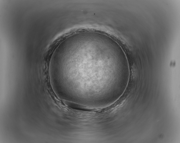 X0000097601494200803071419