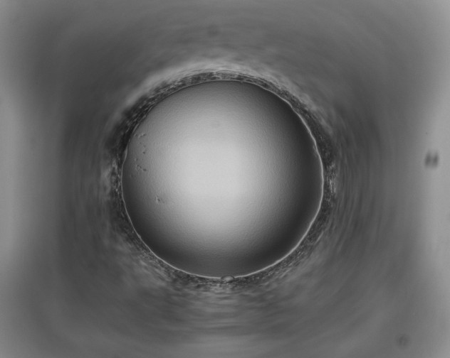 X0000097601495200803071419