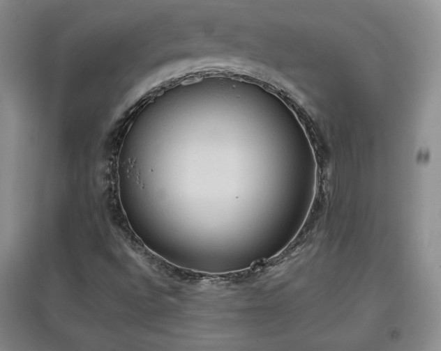 X0000097601496200803071419