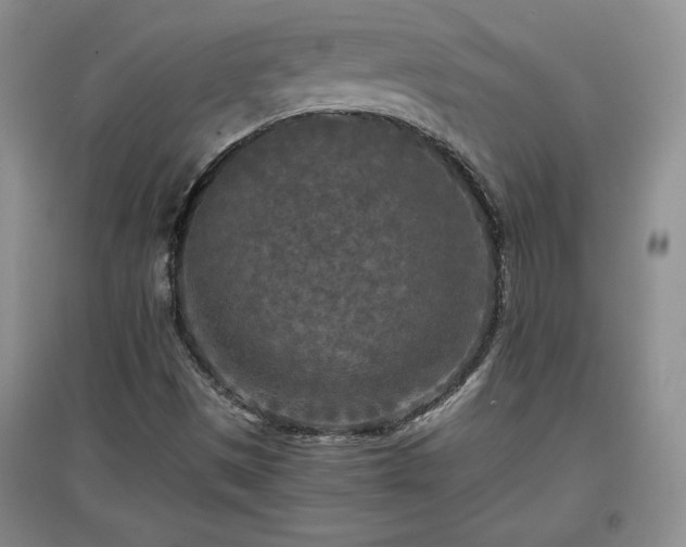 X0000097601497200803071419
