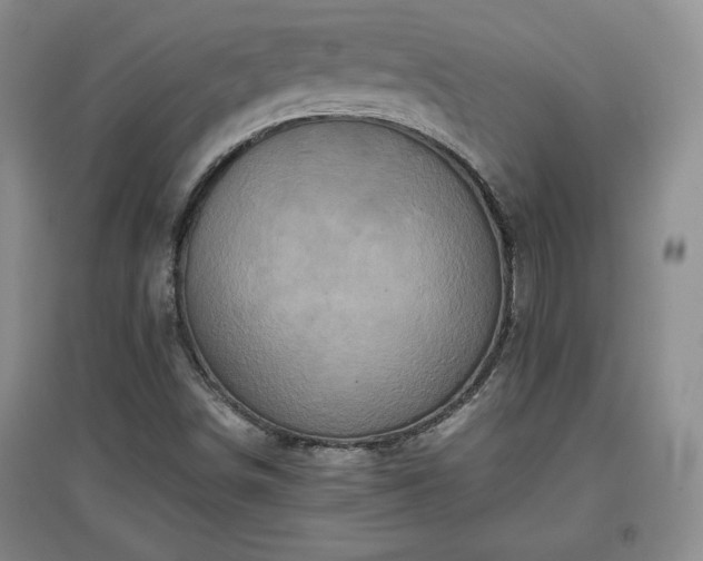 X0000097601498200803071419
