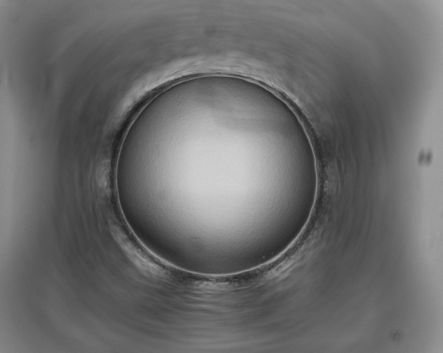 X0000097601499200803071419