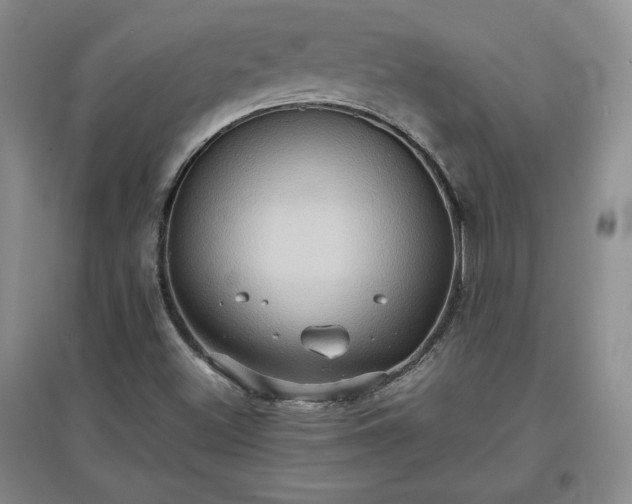 X0000097601500200803071419
