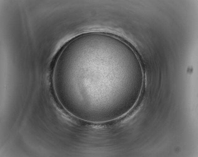 X0000097601501200803071419