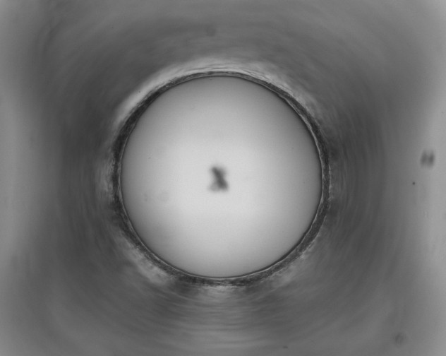 X0000097601502200803071419