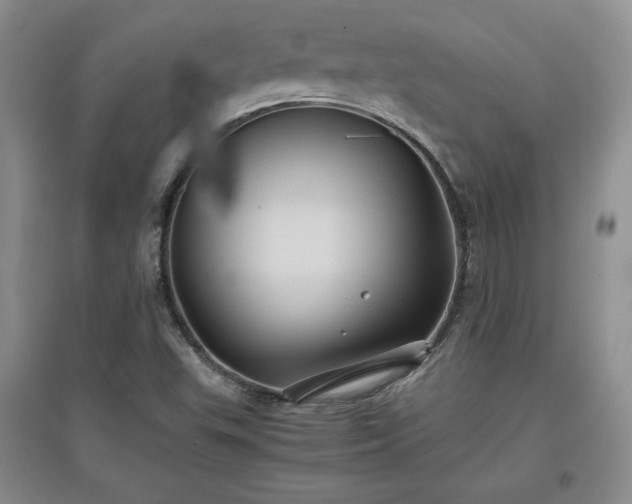 X0000097601503200803071419
