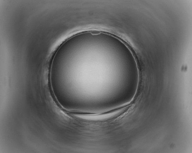 X0000097601504200803071419
