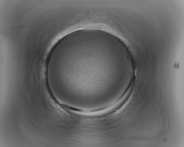 X0000097601506200803071419