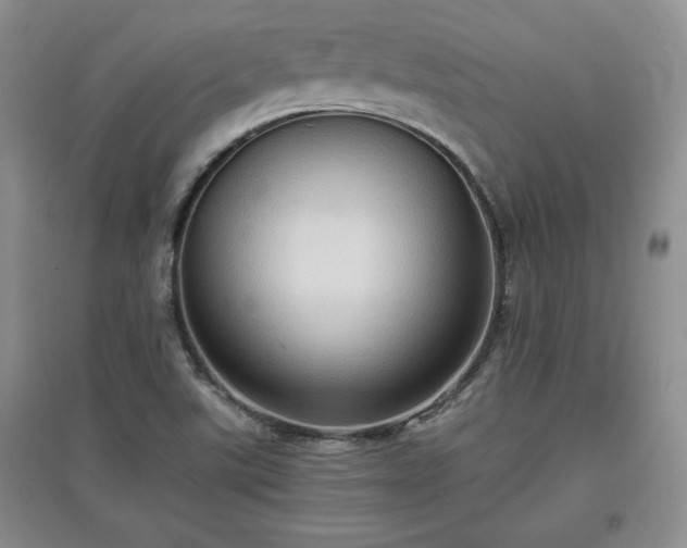X0000097601507200803071419