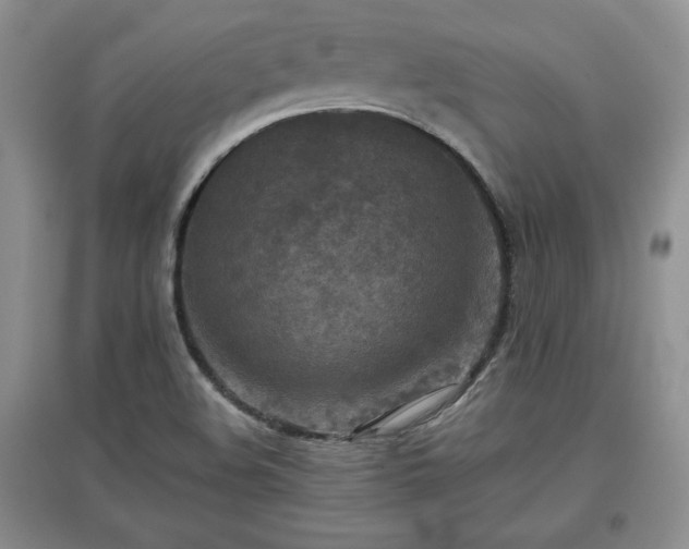 X0000097601508200803071419