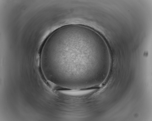 X0000097601509200803071419