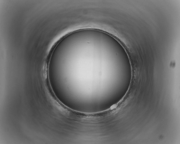 X0000097601510200803071419