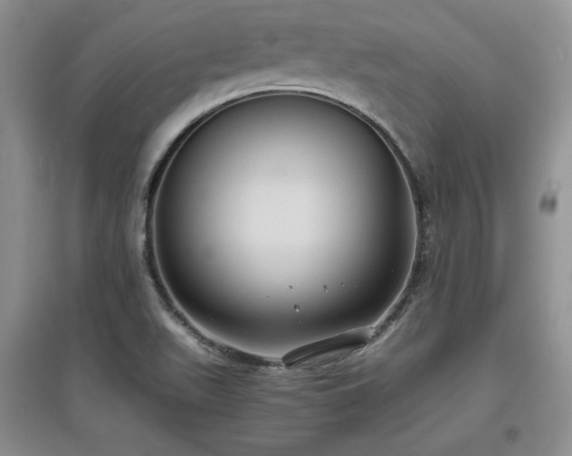X0000097601511200803071419