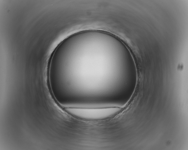 X0000097601512200803071419