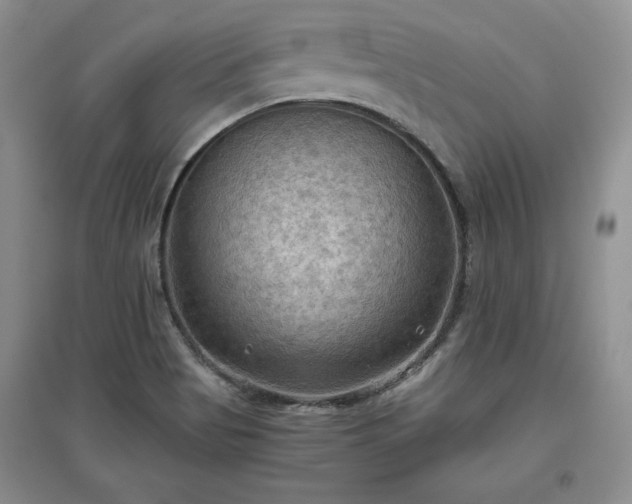 X0000097601513200803071419