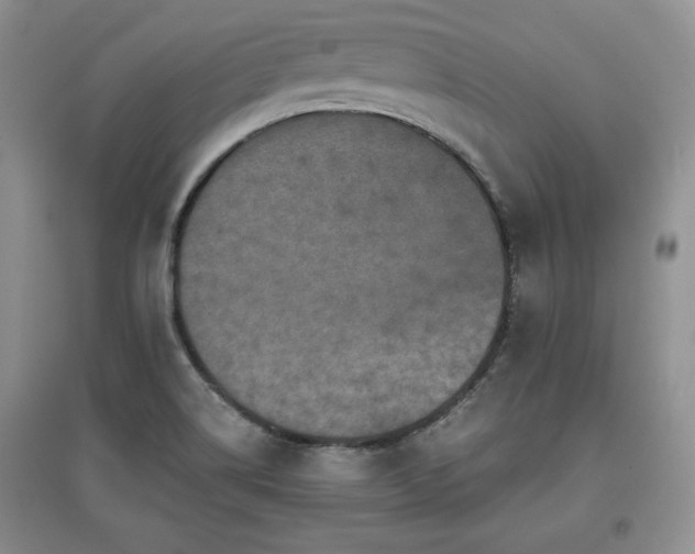 X0000097601514200803071419