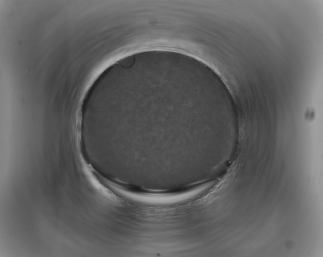 X0000097601515200803071419