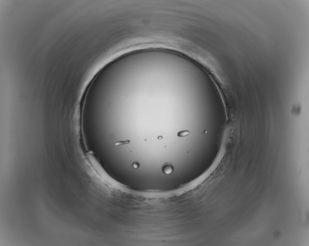 X0000097601516200803071419
