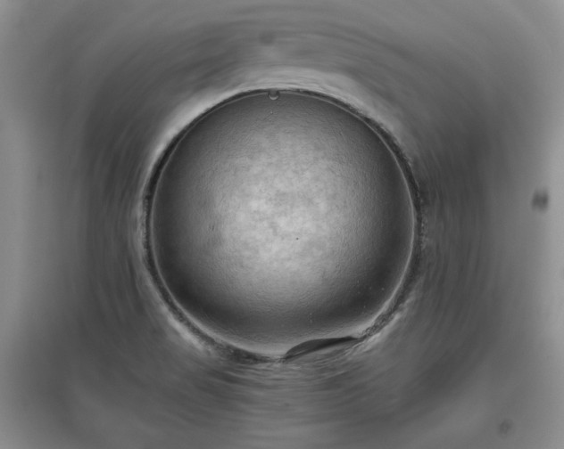 X0000097601517200803071419