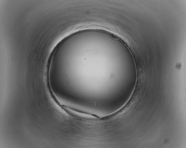 X0000097601518200803071419