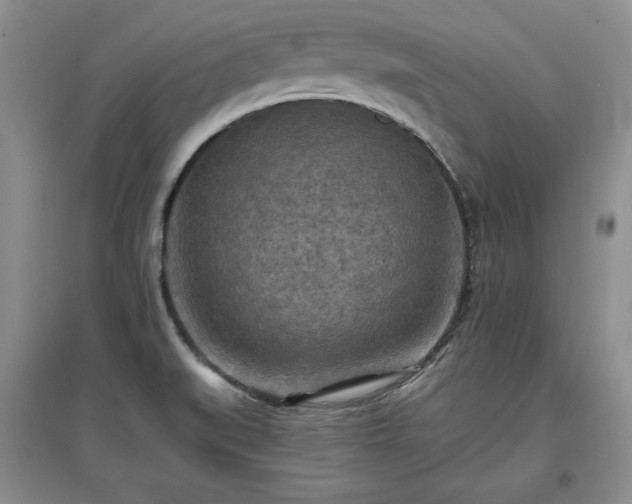 X0000097601519200803071419