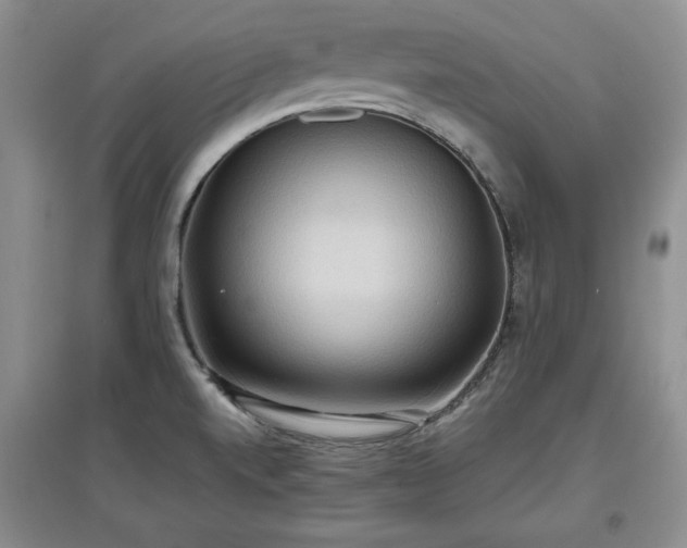 X0000097601520200803071419