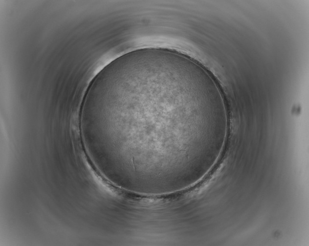X0000097601521200803071419