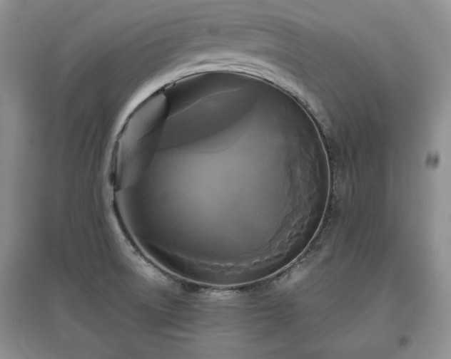 X0000097601522200803071419