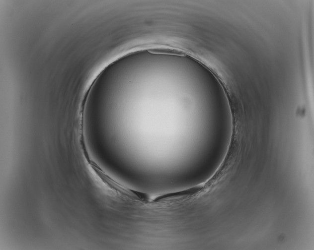 X0000097601524200803071419