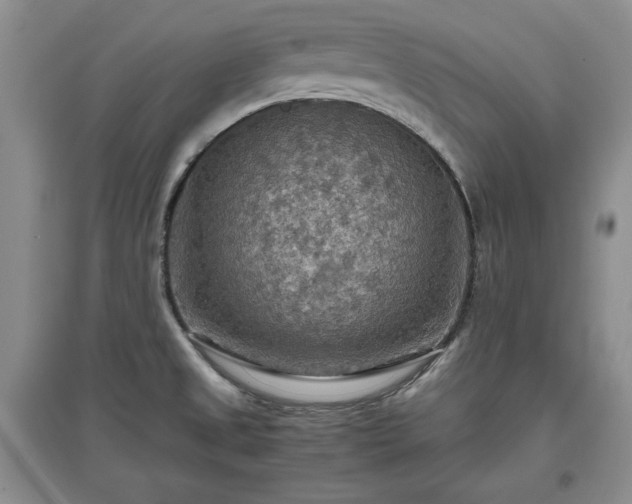 X0000097601525200803071419