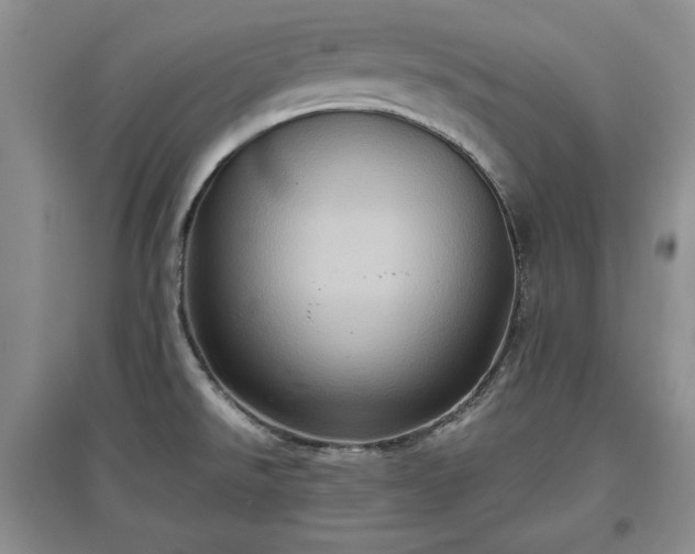 X0000097601526200803071419