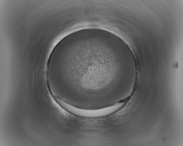 X0000097601527200803071419