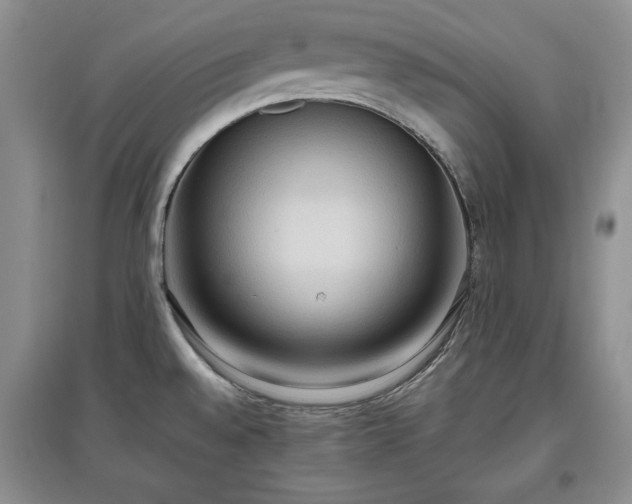 X0000097601528200803071419
