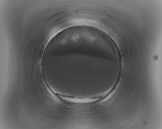 X0000097601529200803071419