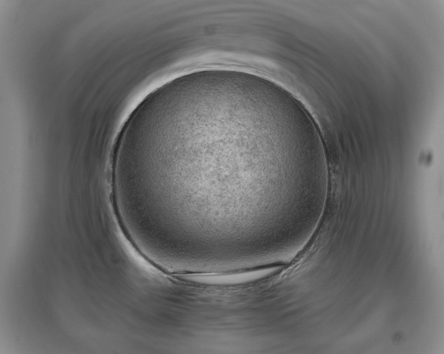 X0000097601531200803071419