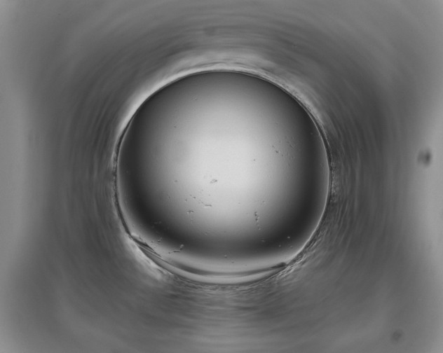 X0000097601532200803071419