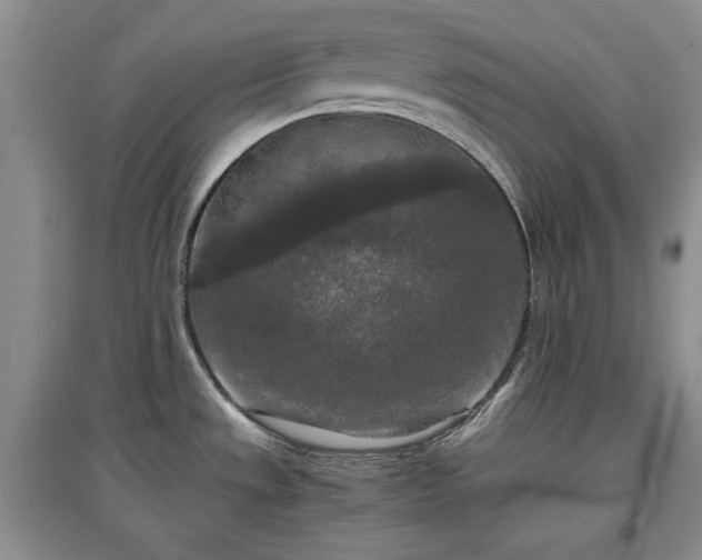 X0000097601533200803071419