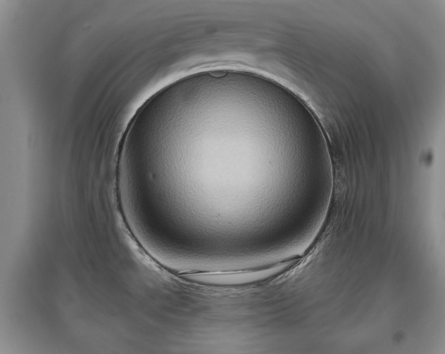 X0000097601534200803071419