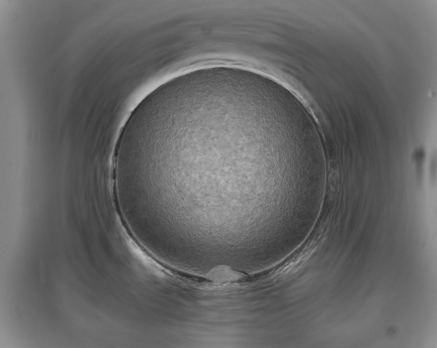 X0000097601535200803071419