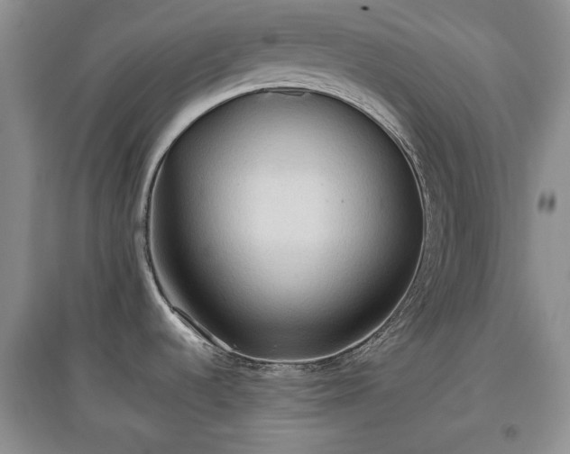 X0000097601536200803071419