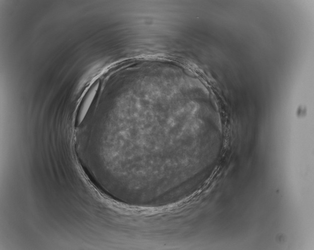 X0000097600002200803141927
