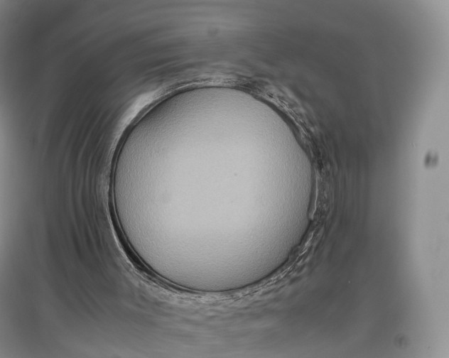 X0000097600003200803141927