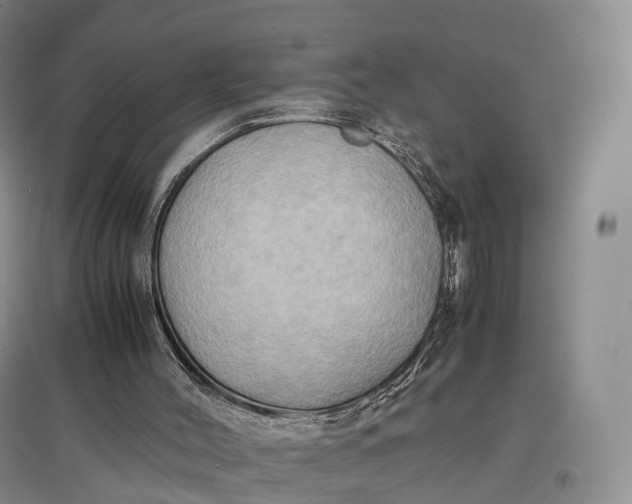 X0000097600004200803141926