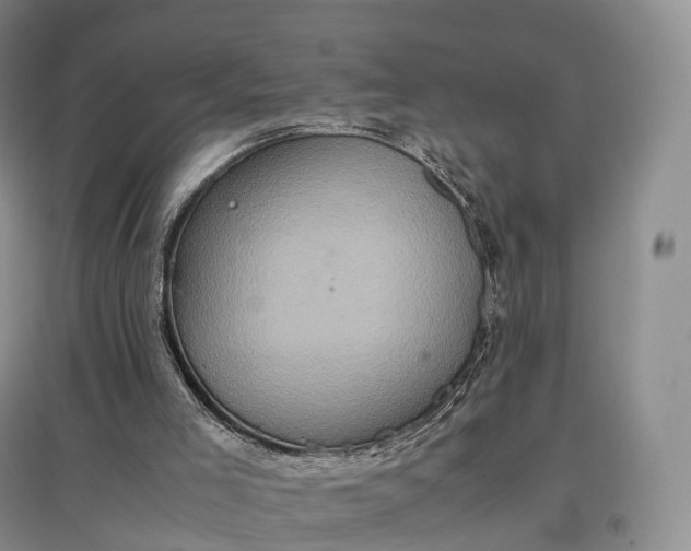 X0000097600005200803141926