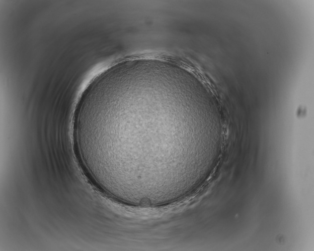X0000097600006200803141926
