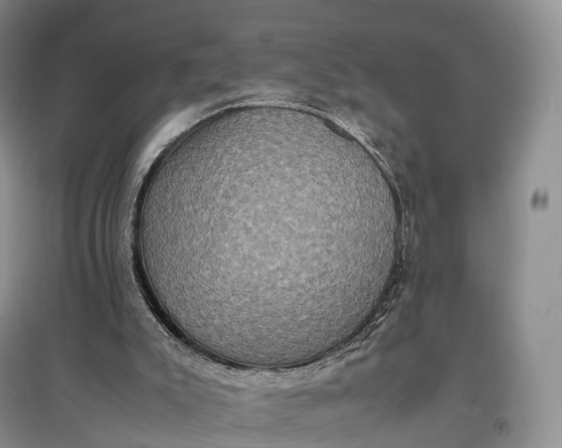 X0000097600007200803141926