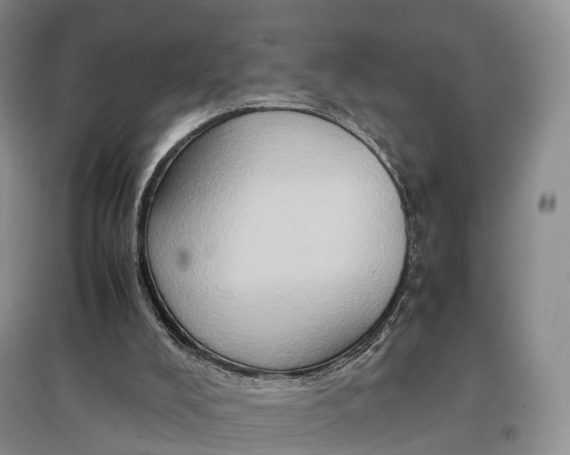 X0000097600008200803141926