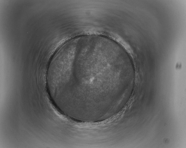 X0000097600009200803141926